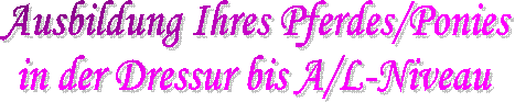 Ausbildung Ihres Pferdes/Ponies 
in der Dressur bis A/L-Niveau 